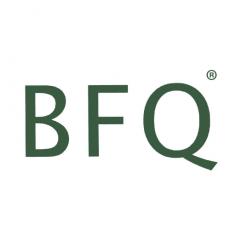 BFQ