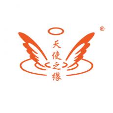 天使之缘