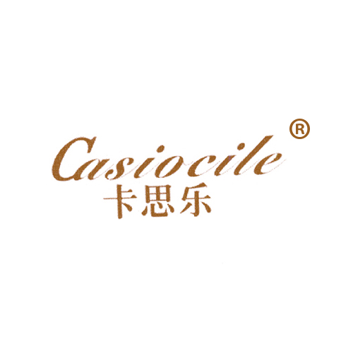 卡思乐 CASIOCILE