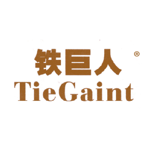 铁巨人 TIEGAINT