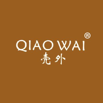 壳外