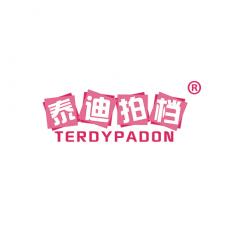 泰迪拍档 