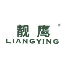 靓鹰