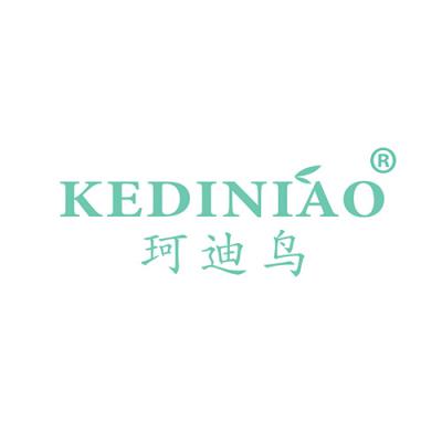 珂迪鸟