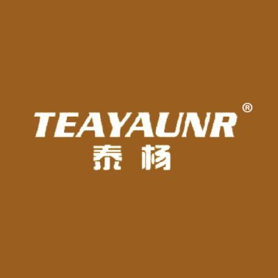 泰杨 TEAYAUNR