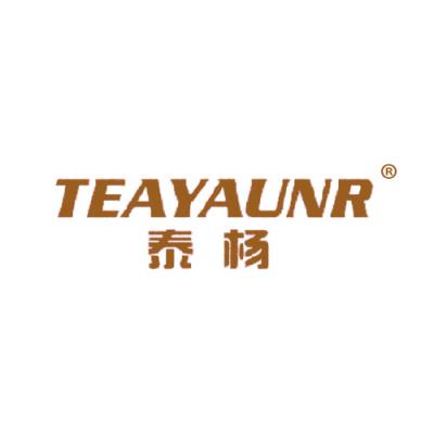 泰杨 TEAYAUNR