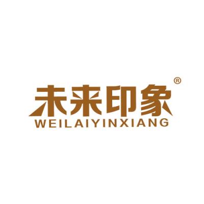 未来印象