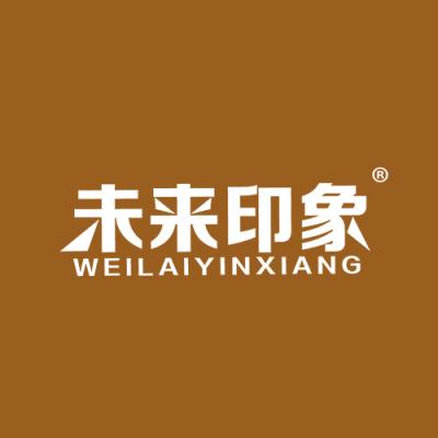 未来印象