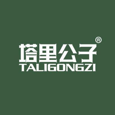 塔里公子