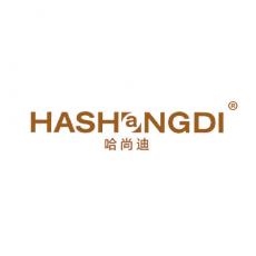 哈尚迪