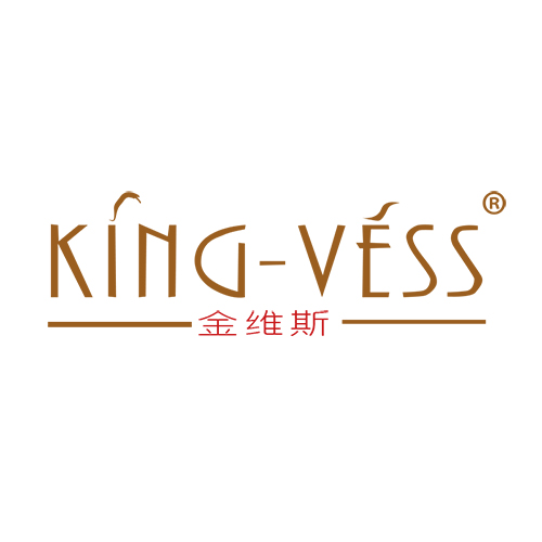 金维斯 KING-VESS