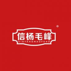 信杨毛峰