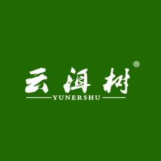 云洱树