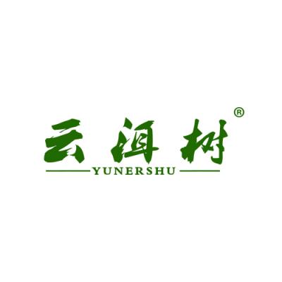 云洱树
