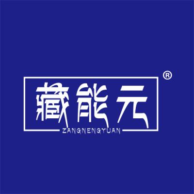 藏能元